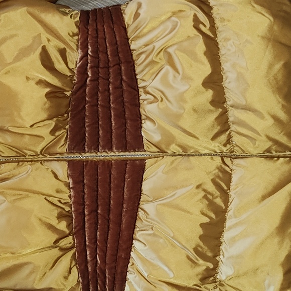 Yellow jacket - Picture 6 of 6